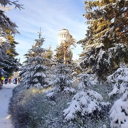 Mountains Gory Sowie 아파트 Jugów