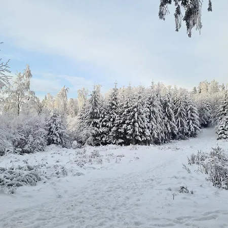 Lägenhet Mountains Gory Sowie *
