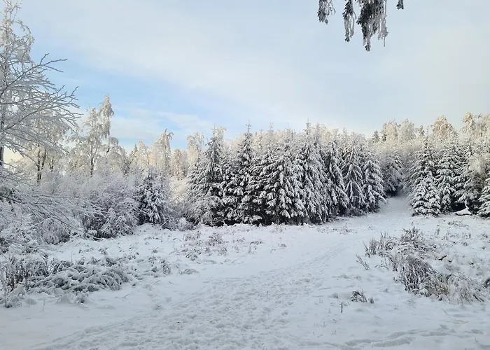 Apartment Mountains Gory Sowie *