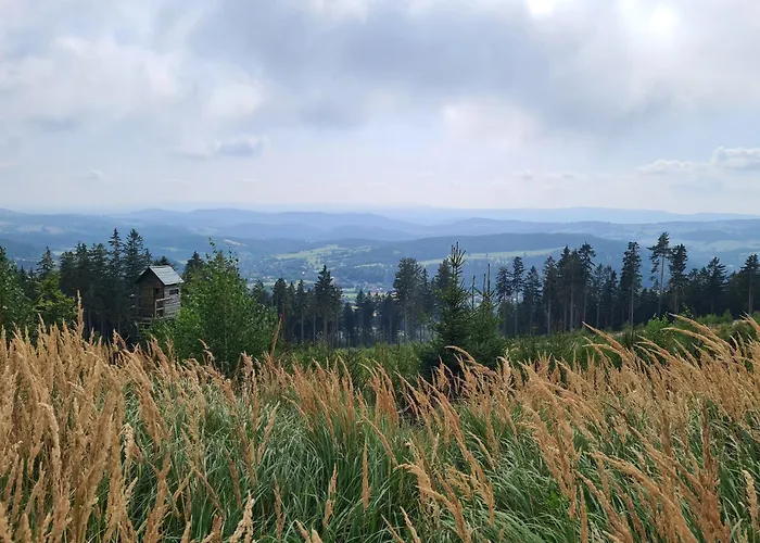 公寓 Mountains Gory Sowie *